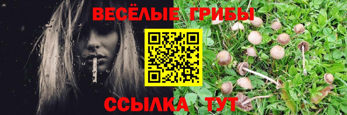 Галлюциногенные грибы Magic Shrooms Дмитров